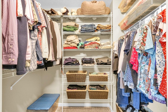 view of walk in closet