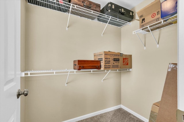 walk in closet with carpet floors