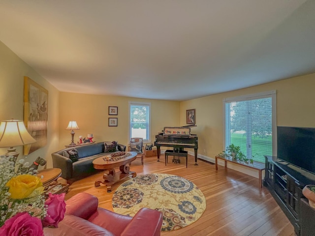 living room featuring light wood-style floors