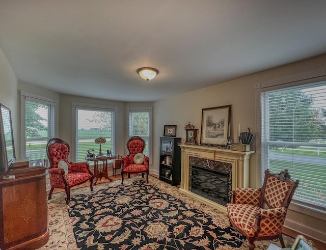 living area with baseboards and a premium fireplace