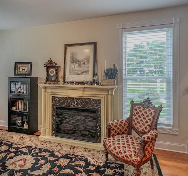 sitting room with plenty of natural light, light wood-style flooring, baseboards, and a fireplace