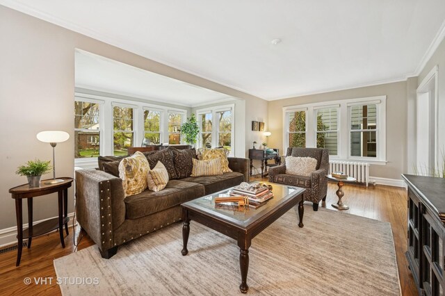 living room with radiator, wood finished floors, baseboards, and ornamental molding