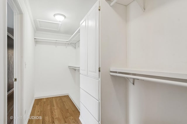 1019 Rockland Rd, Lake Bluff, IL 60044 - walk in closet with attic access and light wood-style flooring