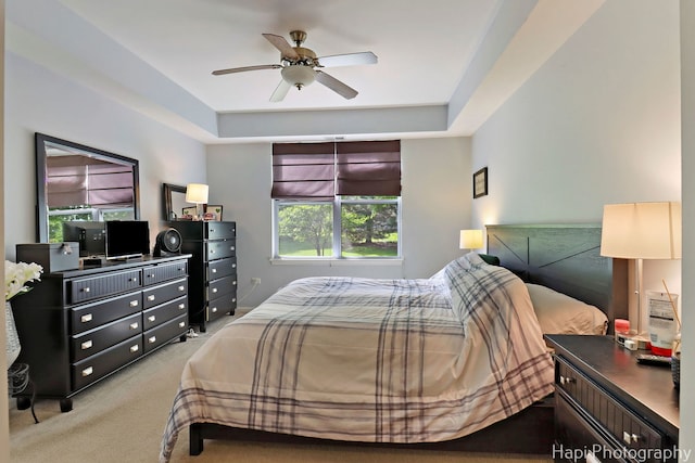 1242 Chesterton Dr Unit 2, Fox Lake, IL 60020 - carpeted bedroom featuring ceiling fan and a raised ceiling