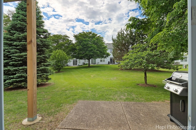 1242 Chesterton Dr Unit 2, Fox Lake, IL 60020 - view of grassy yard