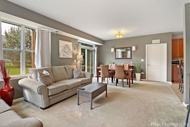 1242 Chesterton Dr Unit 2, Fox Lake, IL 60020 - living room featuring light carpet, healthy amount of natural light, and baseboards