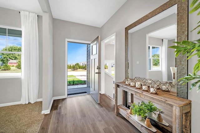 foyer with baseboards, a healthy amount of sunlight, and wood finished floors