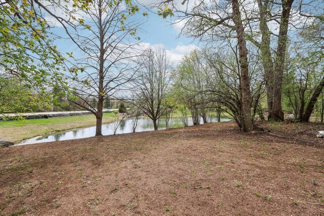 view of yard featuring a water view