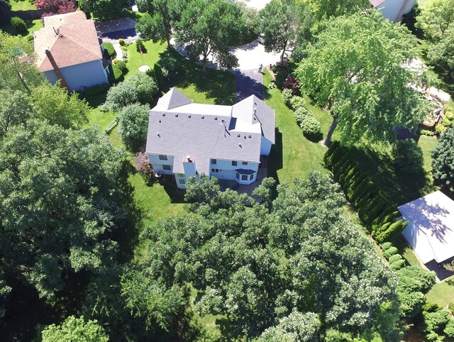 aerial view