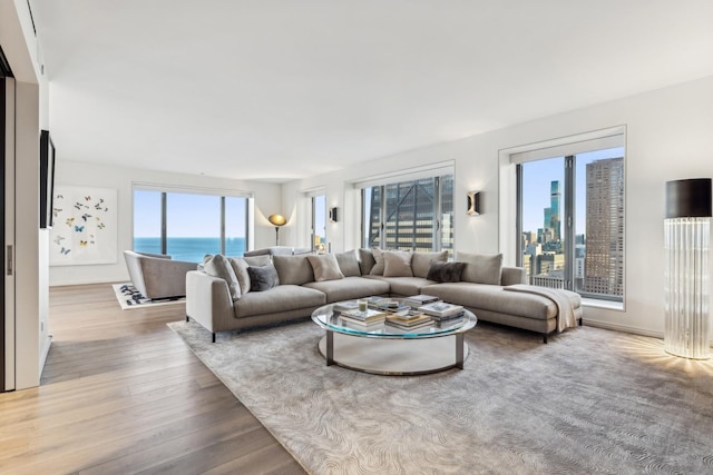 living room with plenty of natural light and wood finished floors