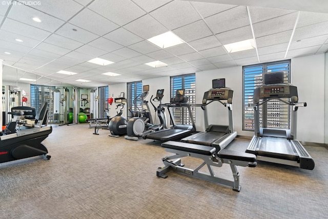 gym with baseboards, carpet flooring, a wealth of natural light, and a drop ceiling