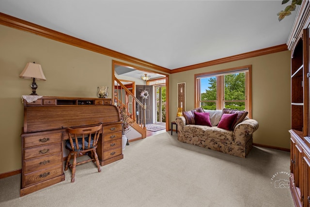 2527 Ryan Ct, Naperville, IL 60564 - office area with carpet floors, ornamental molding, and baseboards