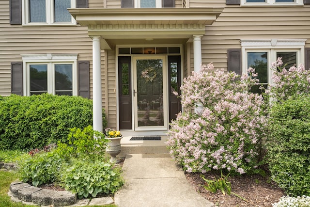 2527 Ryan Ct, Naperville, IL 60564 - view of exterior entry