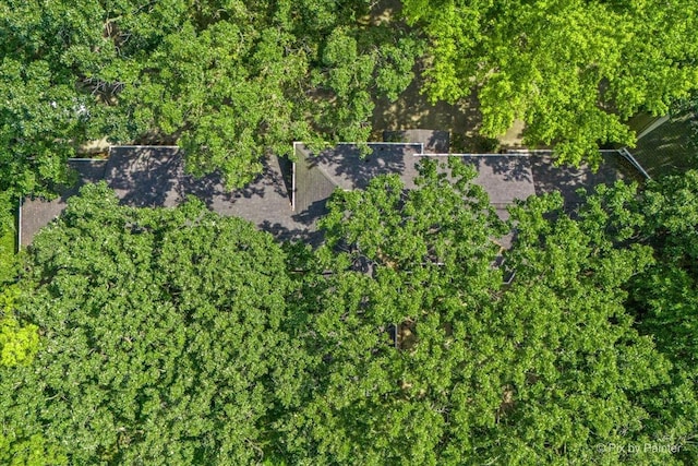 drone / aerial view