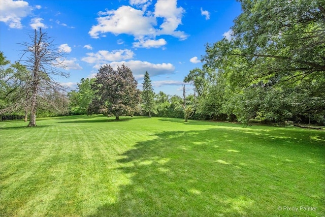 144 Algonquin Rd, Barrington Hills, IL 60010 - view of green lawn featuring view of wooded area