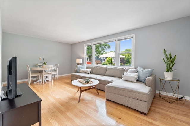 231 W Hickory Rd, Lombard, IL 60148 - living area featuring light wood-style floors