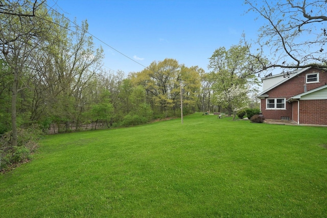 view of yard
