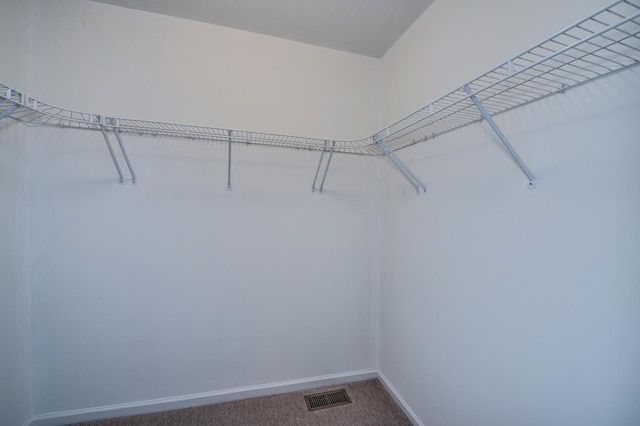 3924 Garnette Ct, Naperville, IL 60564 - walk in closet featuring carpet flooring and visible vents