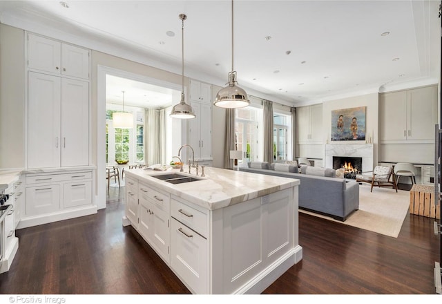 1853 N Burling St, Chicago, IL 60614 - kitchen featuring a sink, dark wood-type flooring, a fireplace, ornamental molding, and plenty of natural light
