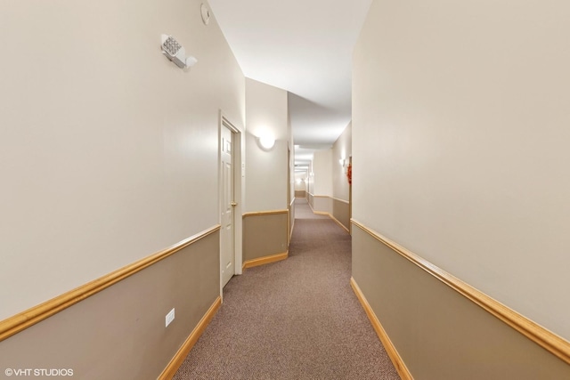 500 E St Charles Rd Unit 510, Lombard, IL 60148 - corridor with carpet flooring and baseboards