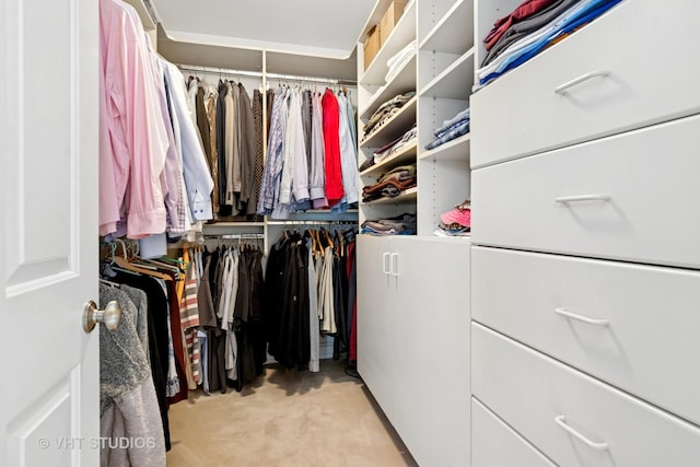 spacious closet with light carpet