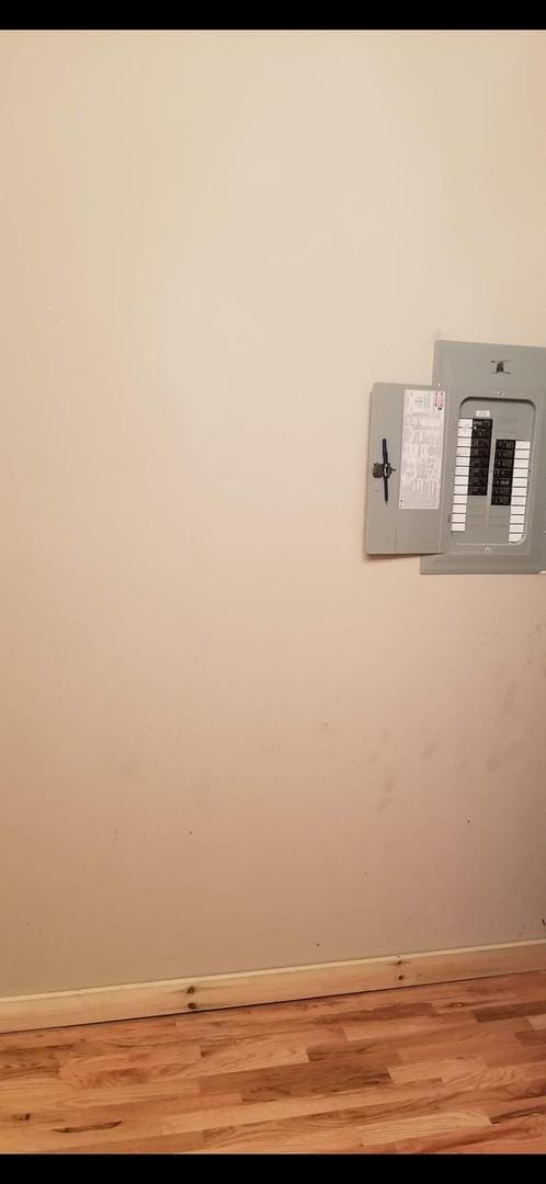 details with baseboards, wood finished floors, and electric panel