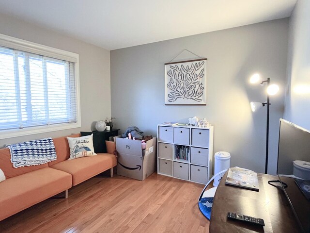 650 Cress Creek Ln, Crystal Lake, IL 60014 - office with light wood-type flooring