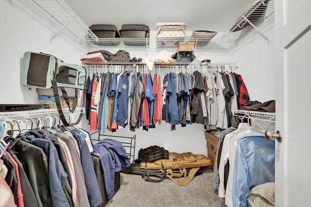 walk in closet with carpet floors