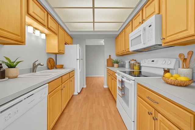 6340 Americana Dr Unit 1213, Willowbrook, IL 60527 - kitchen with white appliances, a sink, light wood-style flooring, and light countertops
