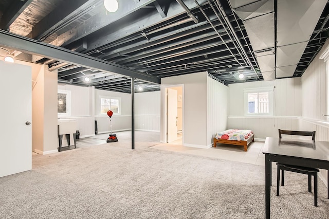 basement featuring carpet flooring