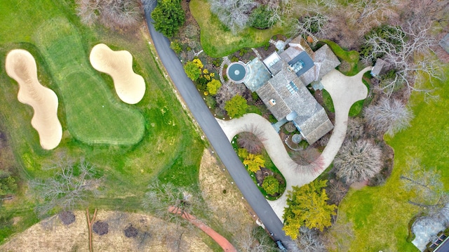 bird's eye view