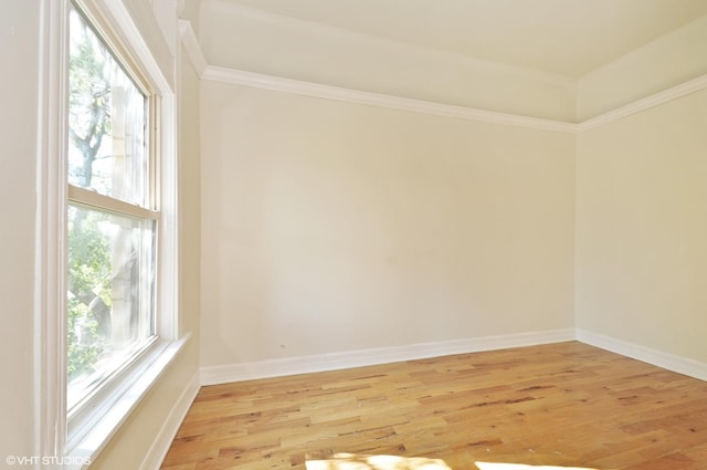 empty room with baseboards, ornamental molding, light wood finished floors, and plenty of natural light