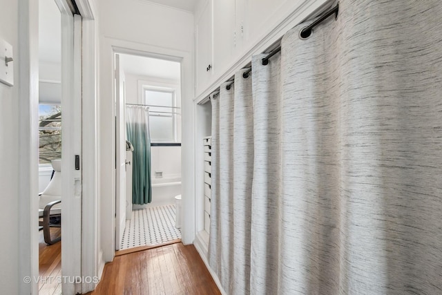 corridor featuring wood finished floors