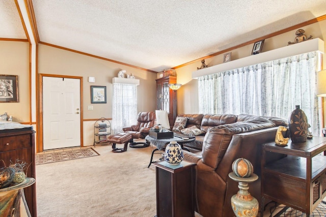 living room with ornamental molding, wainscoting, a textured ceiling, carpet, and vaulted ceiling