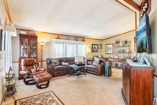 carpeted living area featuring crown molding and a textured ceiling