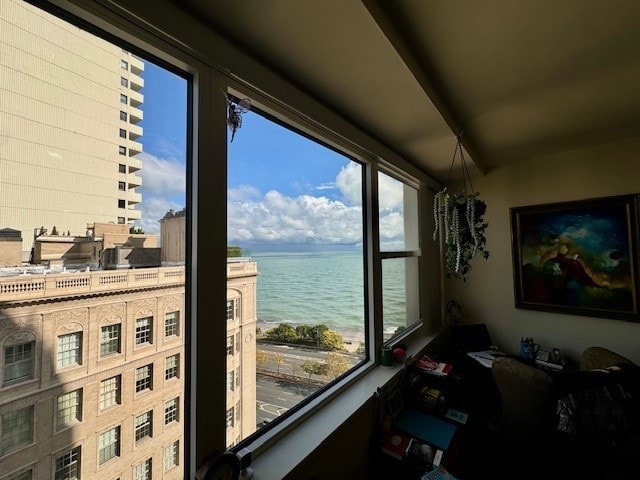 1150 N Lake Shore Dr Unit 17G, Chicago, IL 60611 - water view