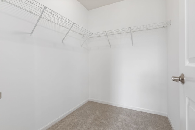 3576 Gabrielle Ln, Aurora, IL 60504 - walk in closet featuring carpet floors