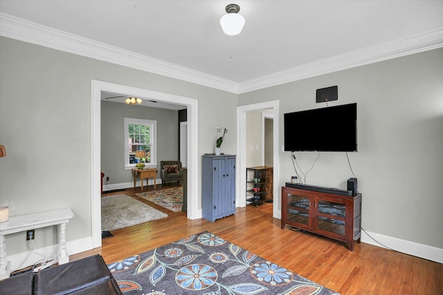 708 W Church St, Champaign, IL 61820 - living room with ornamental molding and wood finished floors