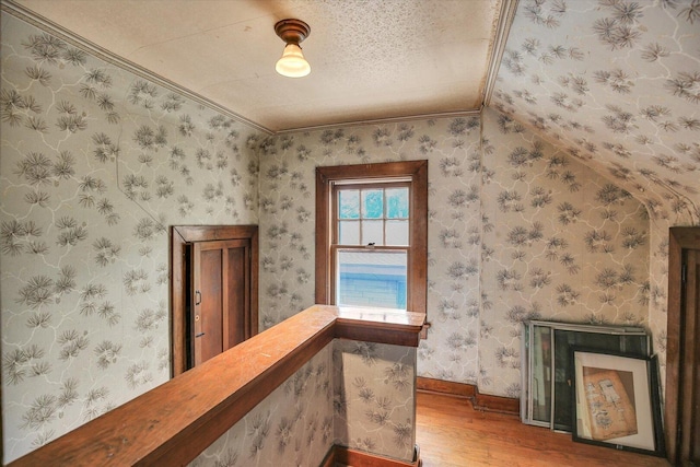 708 W Church St, Champaign, IL 61820 - hallway featuring wood finished floors, crown molding, and a textured ceiling