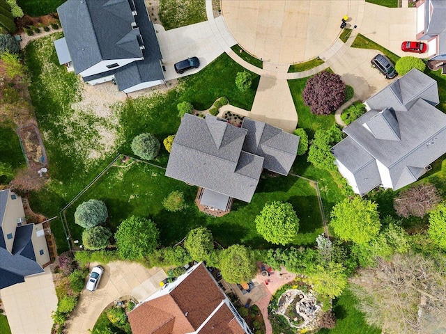 bird's eye view