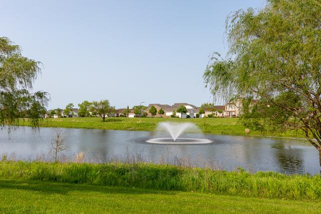 3607 Greystone Ave, Naperville, IL 60564 - view of water feature