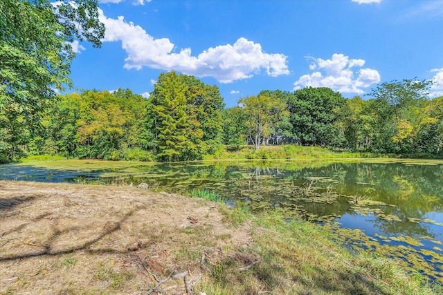 2066 County Road 125 E, Mahomet, IL 61853 - exterior space with a view of trees