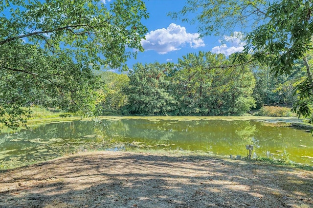 2066 County Road 125 E, Mahomet, IL 61853 - property view of water featuring a view of trees