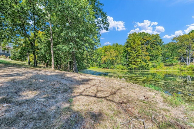 2066 County Road 125 E, Mahomet, IL 61853 - view of yard with a view of trees