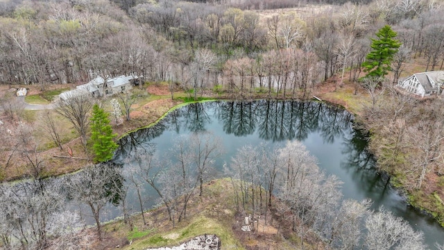 2066 County Road 125 E, Mahomet, IL 61853 - birds eye view of property featuring a water view and a view of trees