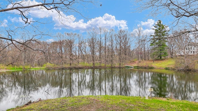 2066 County Road 125 E, Mahomet, IL 61853 - property view of water