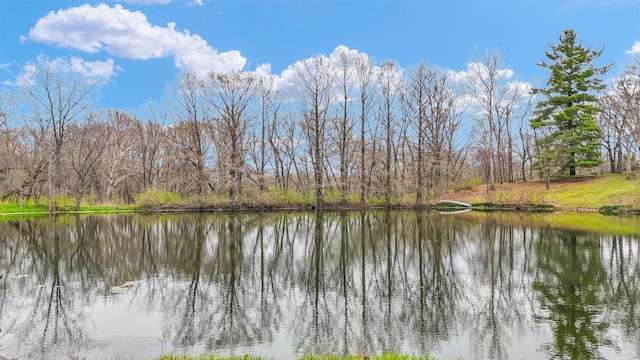 2066 County Road 125 E, Mahomet, IL 61853 - property view of water
