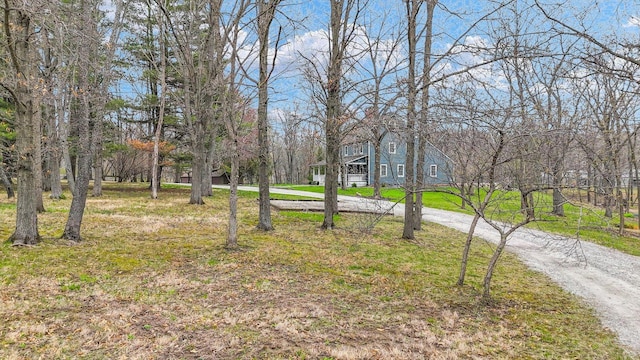 2066 County Road 125 E, Mahomet, IL 61853 - view of yard with curved driveway