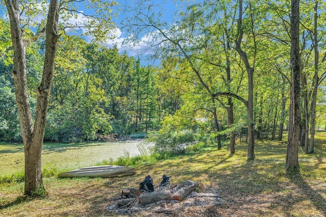2066 County Road 125 E, Mahomet, IL 61853 - view of yard featuring a wooded view