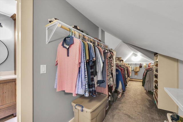 2066 County Road 125 E, Mahomet, IL 61853 - walk in closet with carpet flooring and lofted ceiling